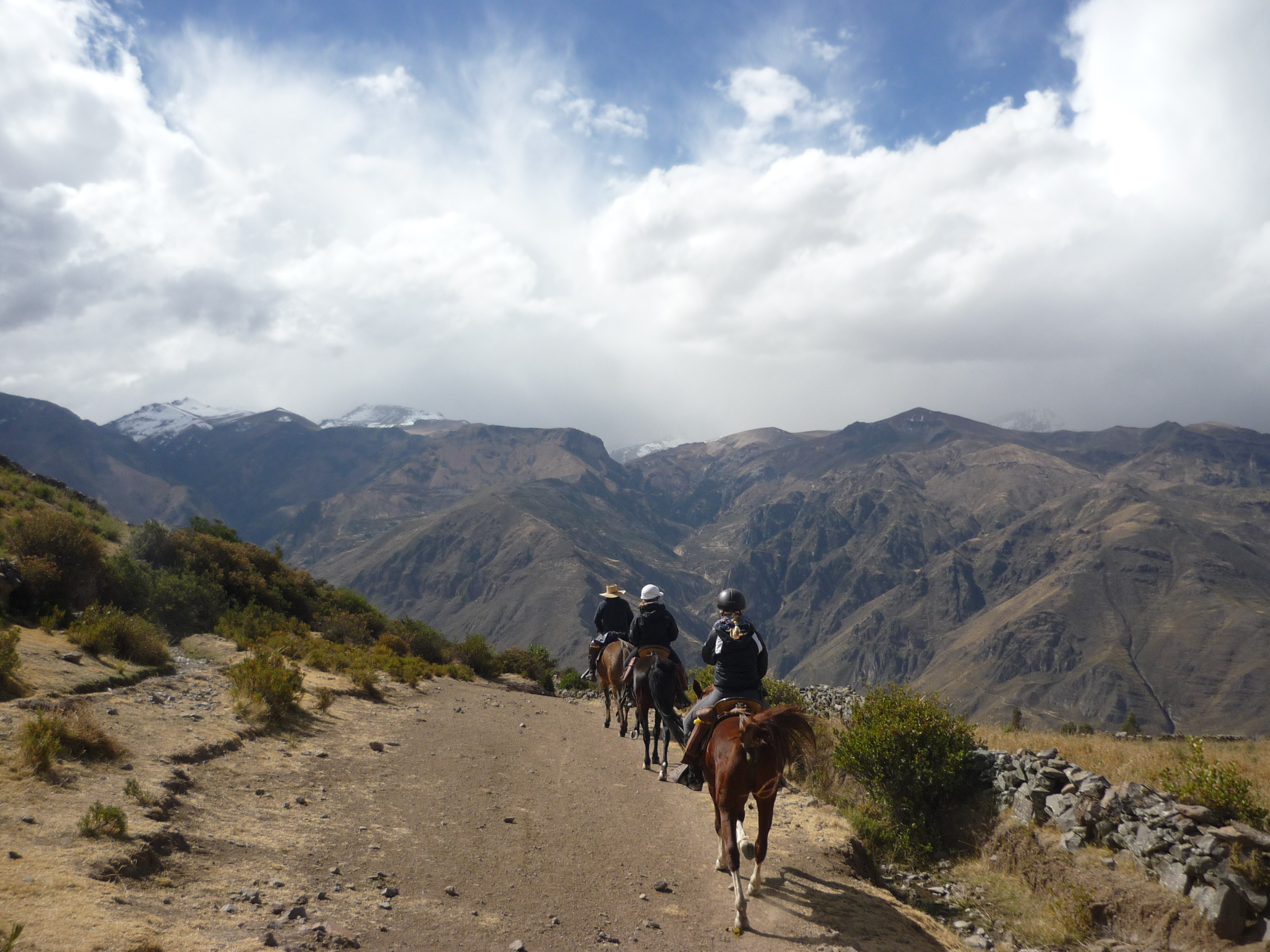 Image Pérou : La vallée et le canyon du Colca à cheval