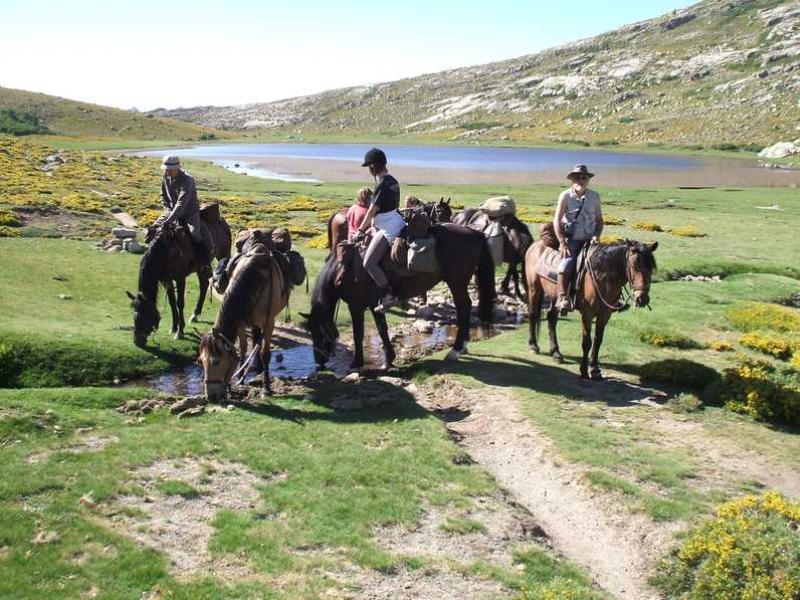 Image Mer et Montagne Corse à cheval