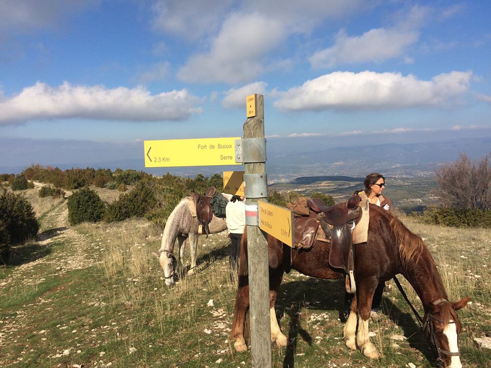 Image Cheval & Nature, découverte du Luberon et du voyage à cheval