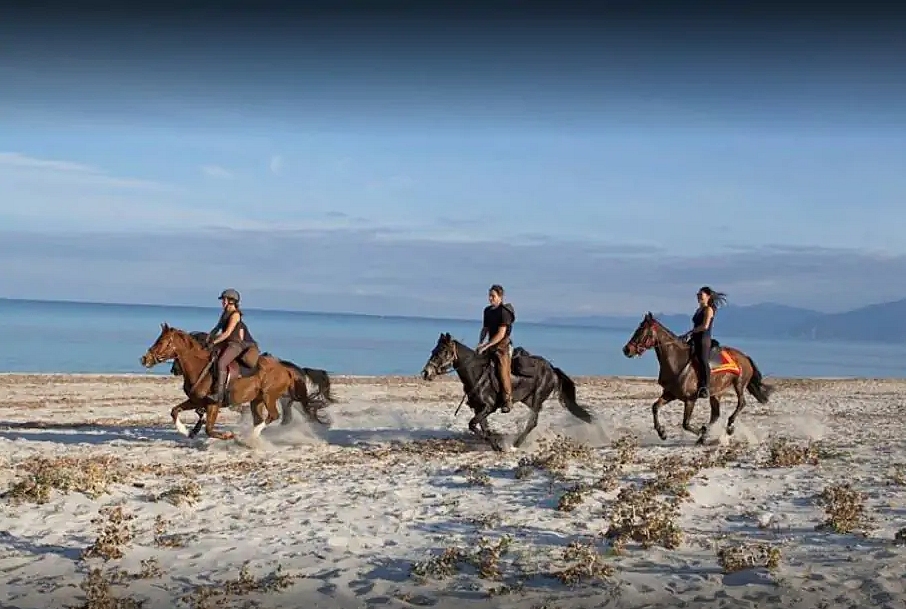 Image Le Désert des Agriates en Corse à cheval