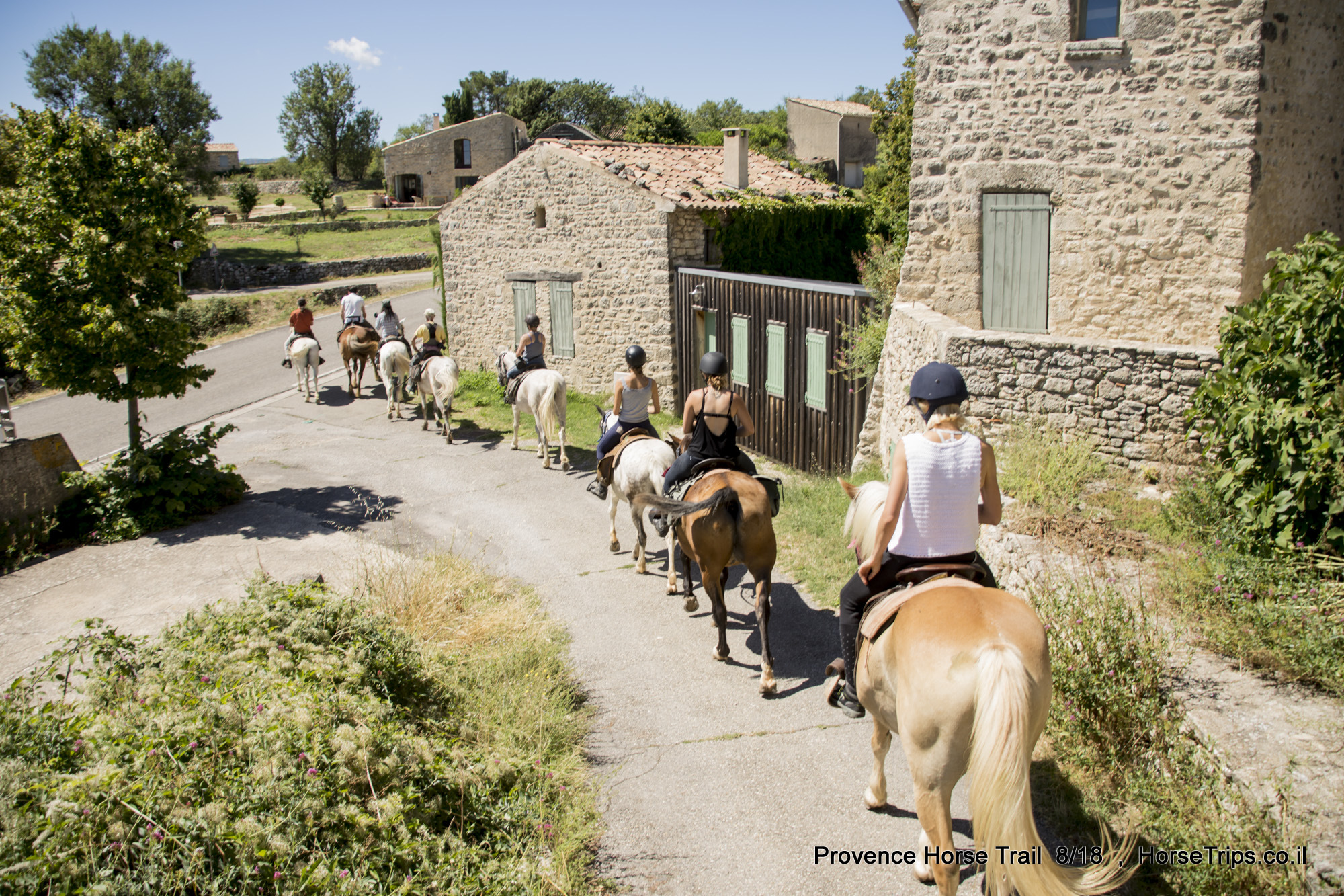 Image Cheval & Nature, découverte du Luberon et du voyage à cheval