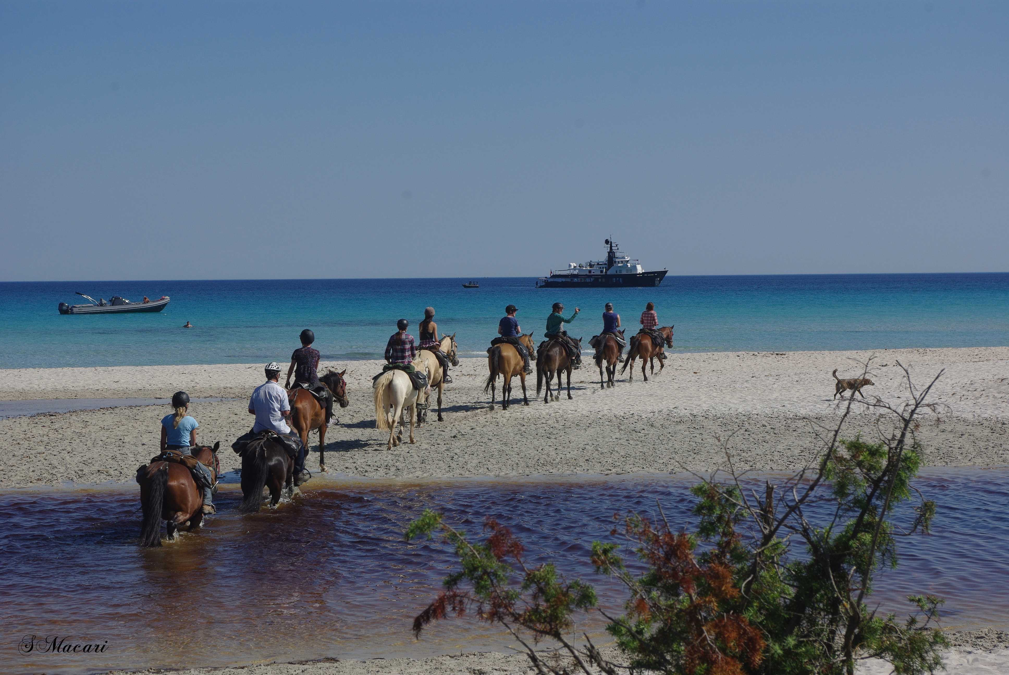 Image Le Désert des Agriates en Corse à cheval