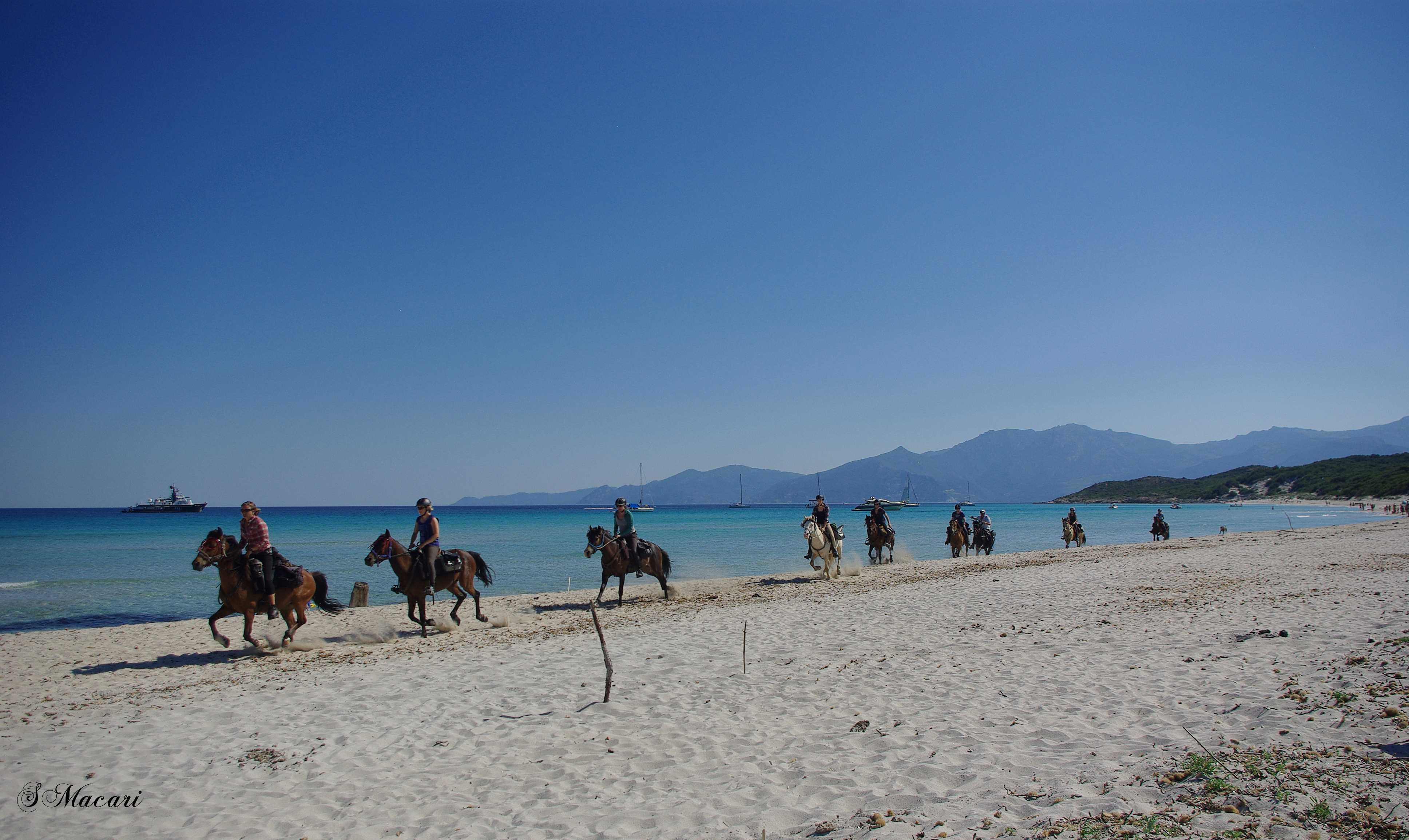 Image Le Désert des Agriates en Corse à cheval