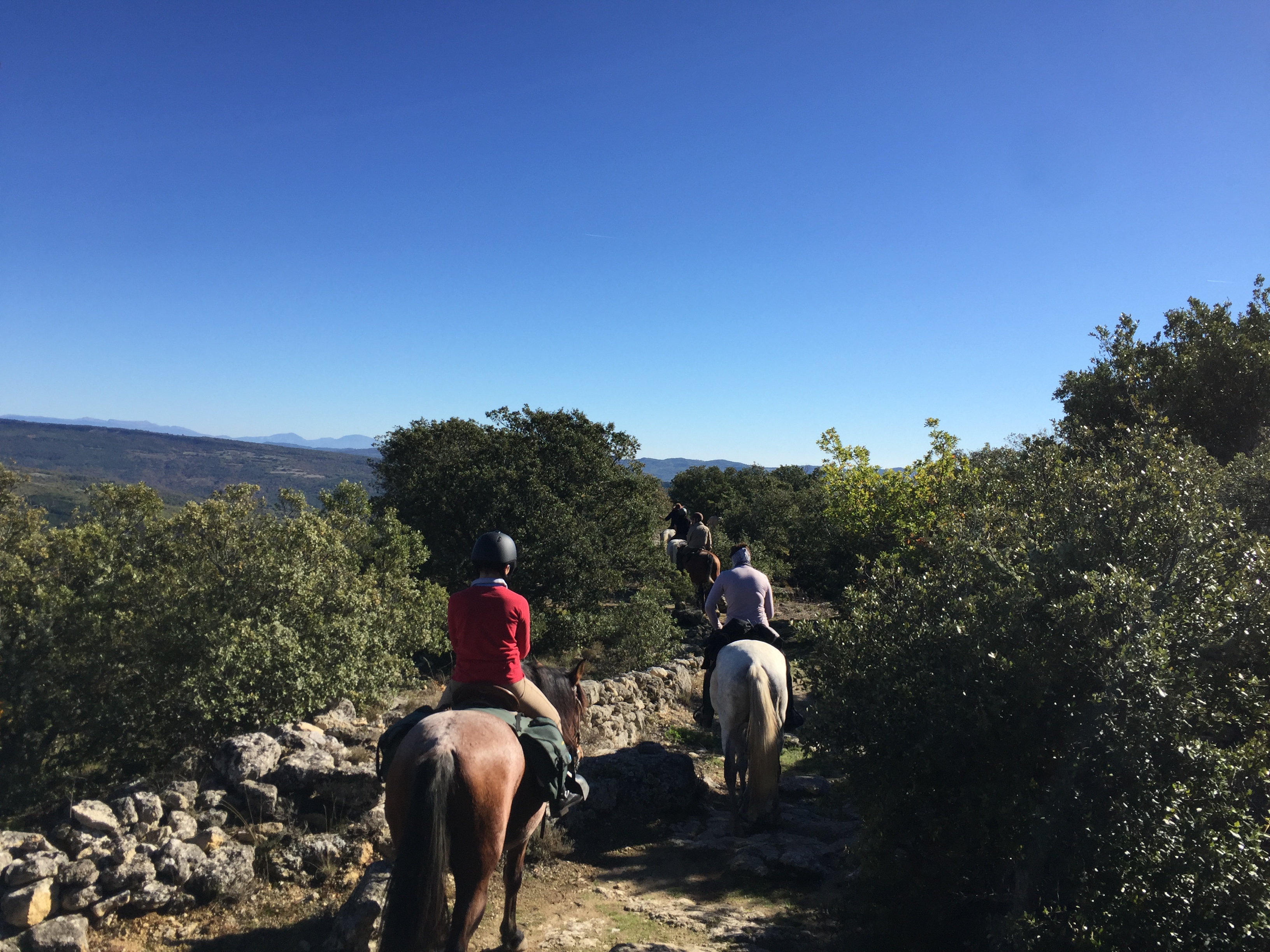 Image Cheval & Nature, découverte du Luberon et du voyage à cheval