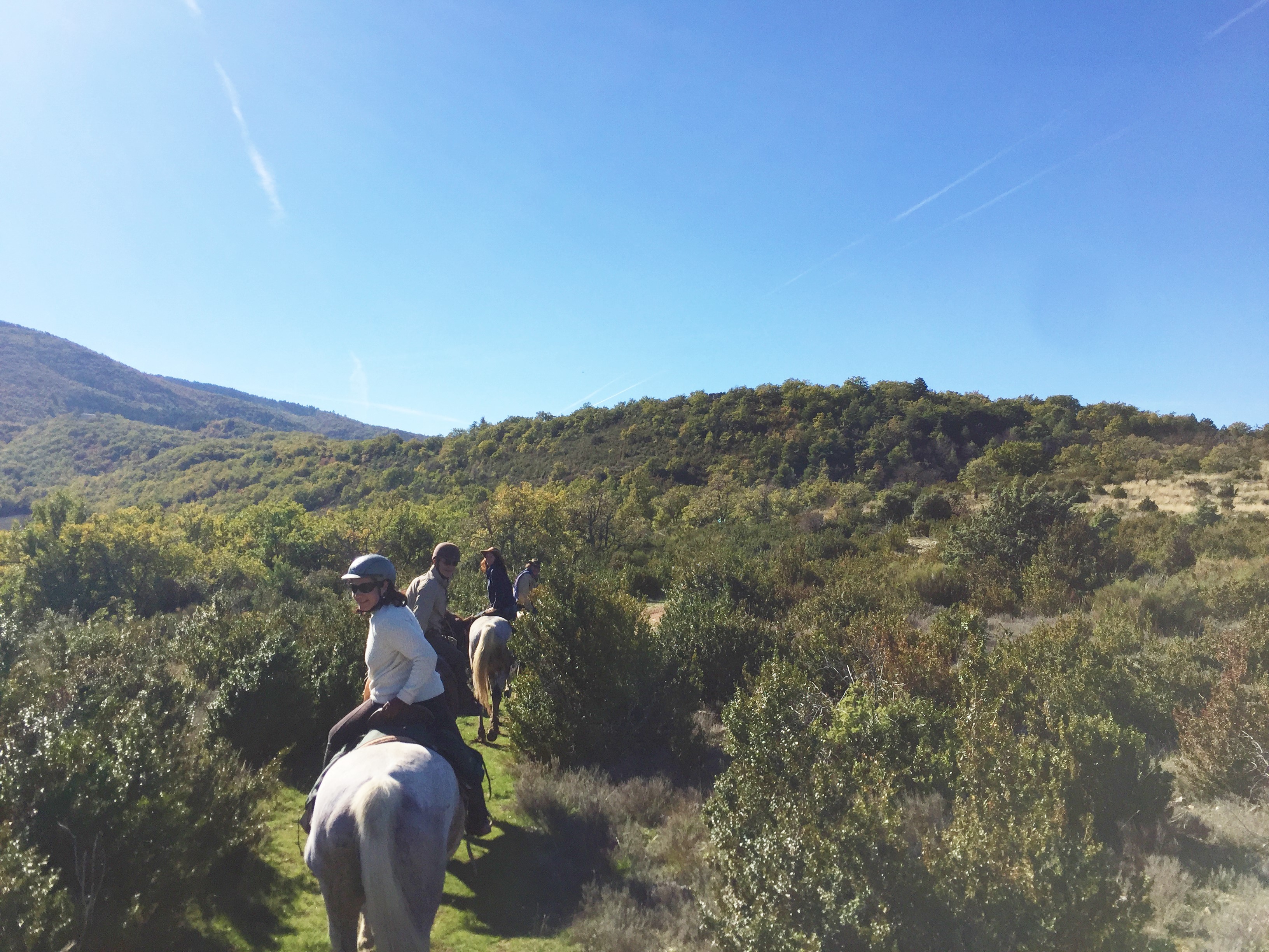 Image Cheval & Nature, découverte du Luberon et du voyage à cheval