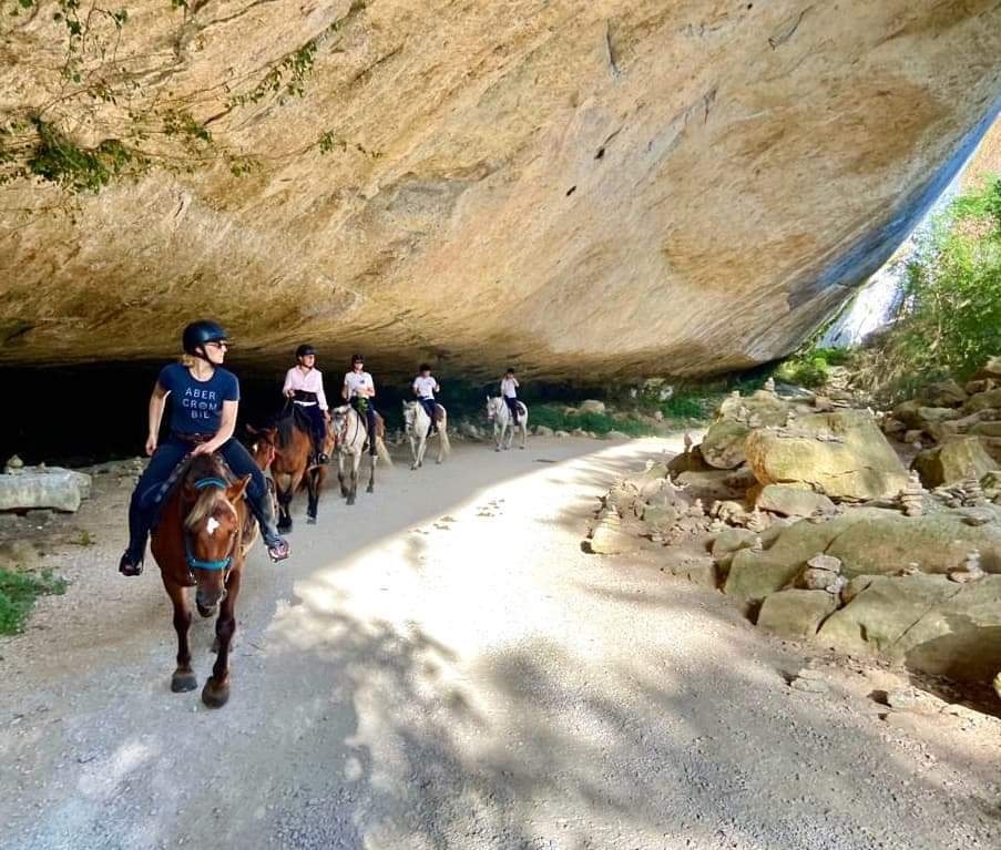 Image Cheval & Nature, découverte du Luberon et du voyage à cheval