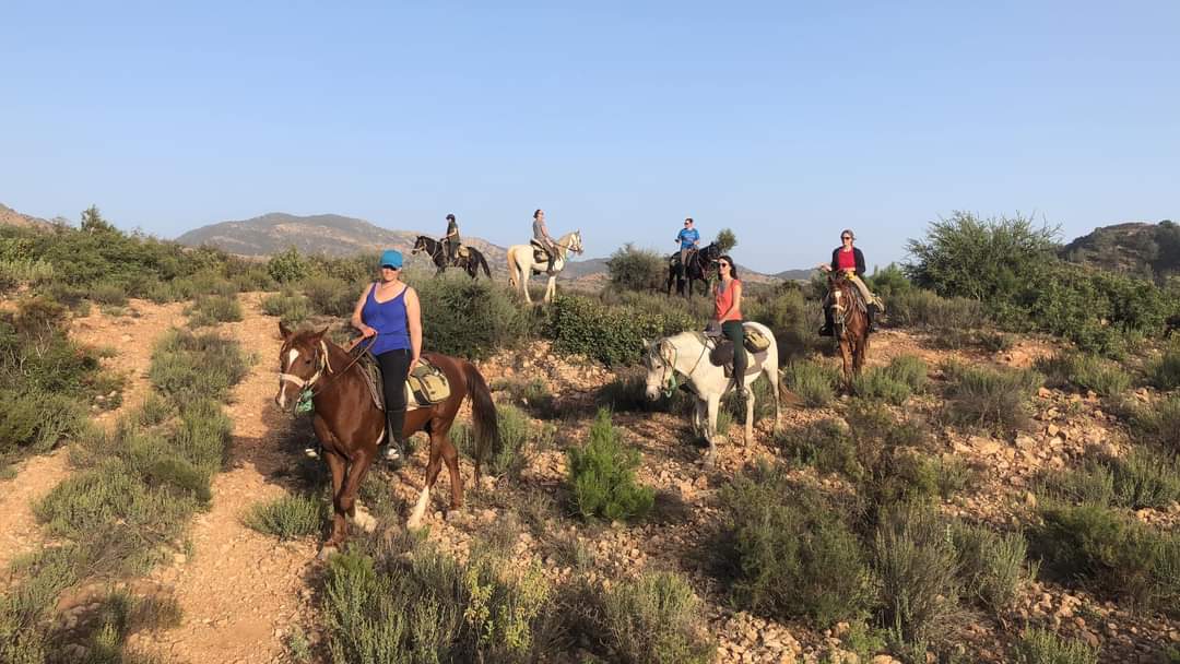 Image Espagne : Randonnée à cheval des Conquistadors en itinérance en Extremadure