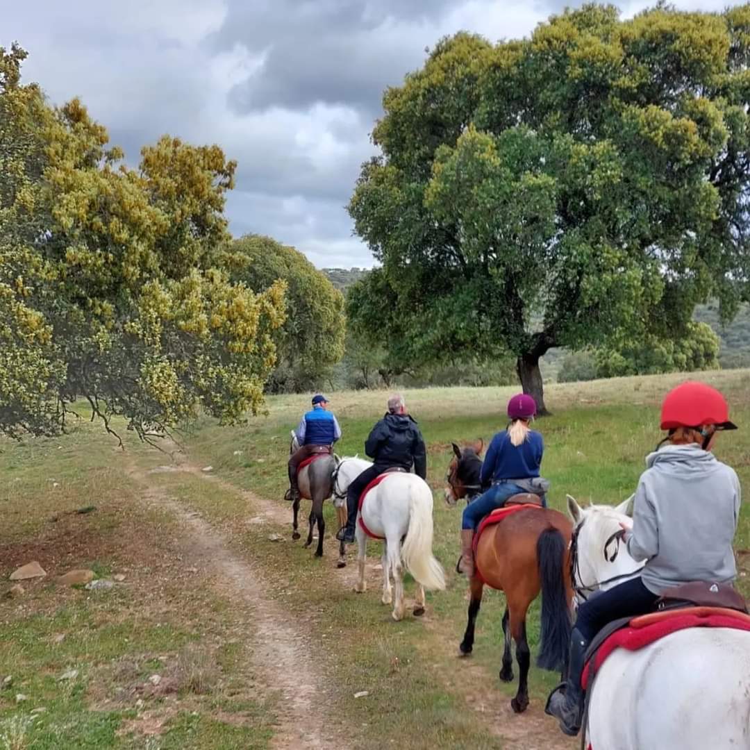 Image Espagne : Randonnée à cheval des Conquistadors en itinérance en Extremadure