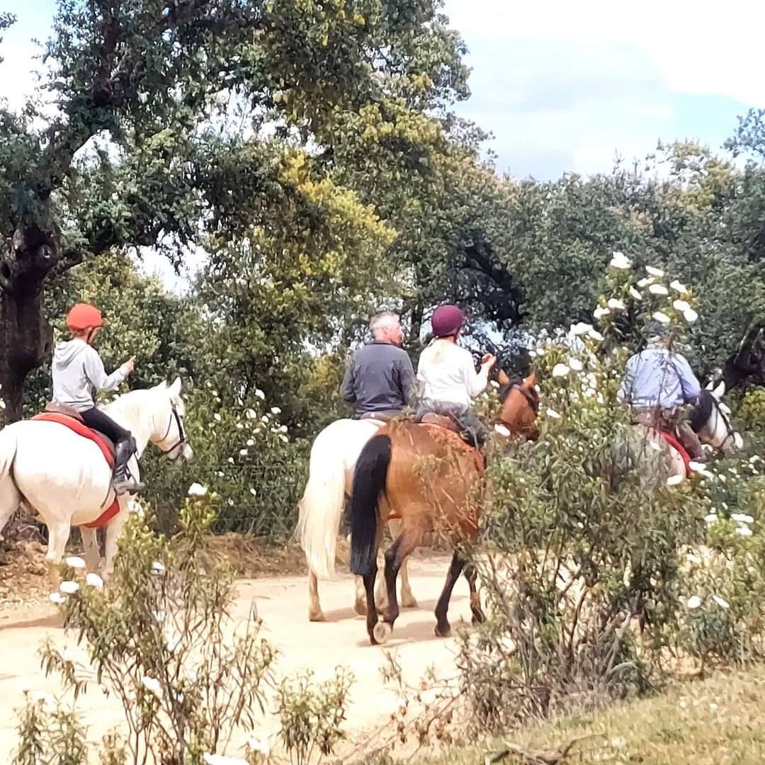 Image Espagne : Randonnée à cheval des Conquistadors en itinérance en Extremadure