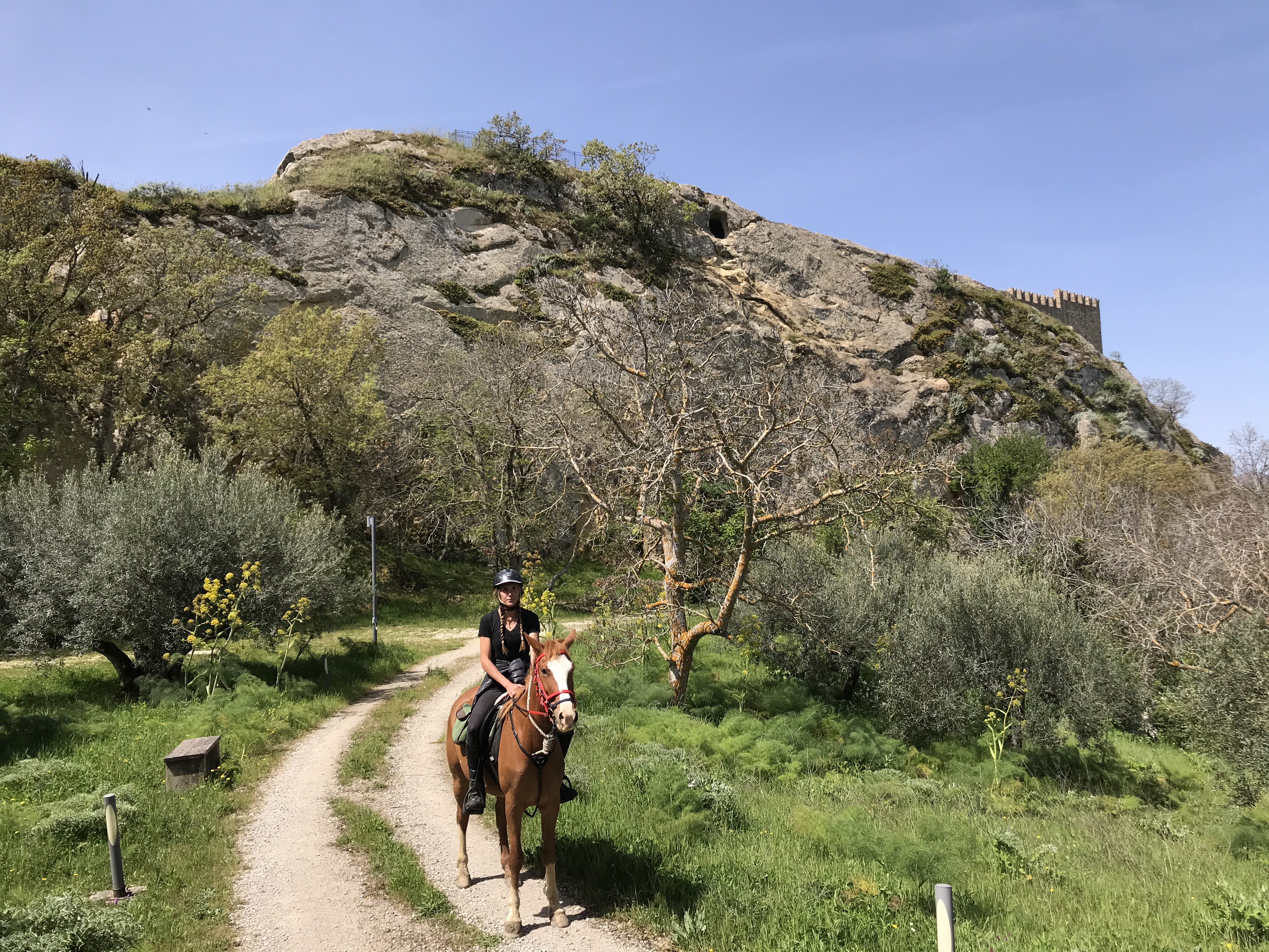 Image Sicile : Culture & Traditions de Sicile à cheval