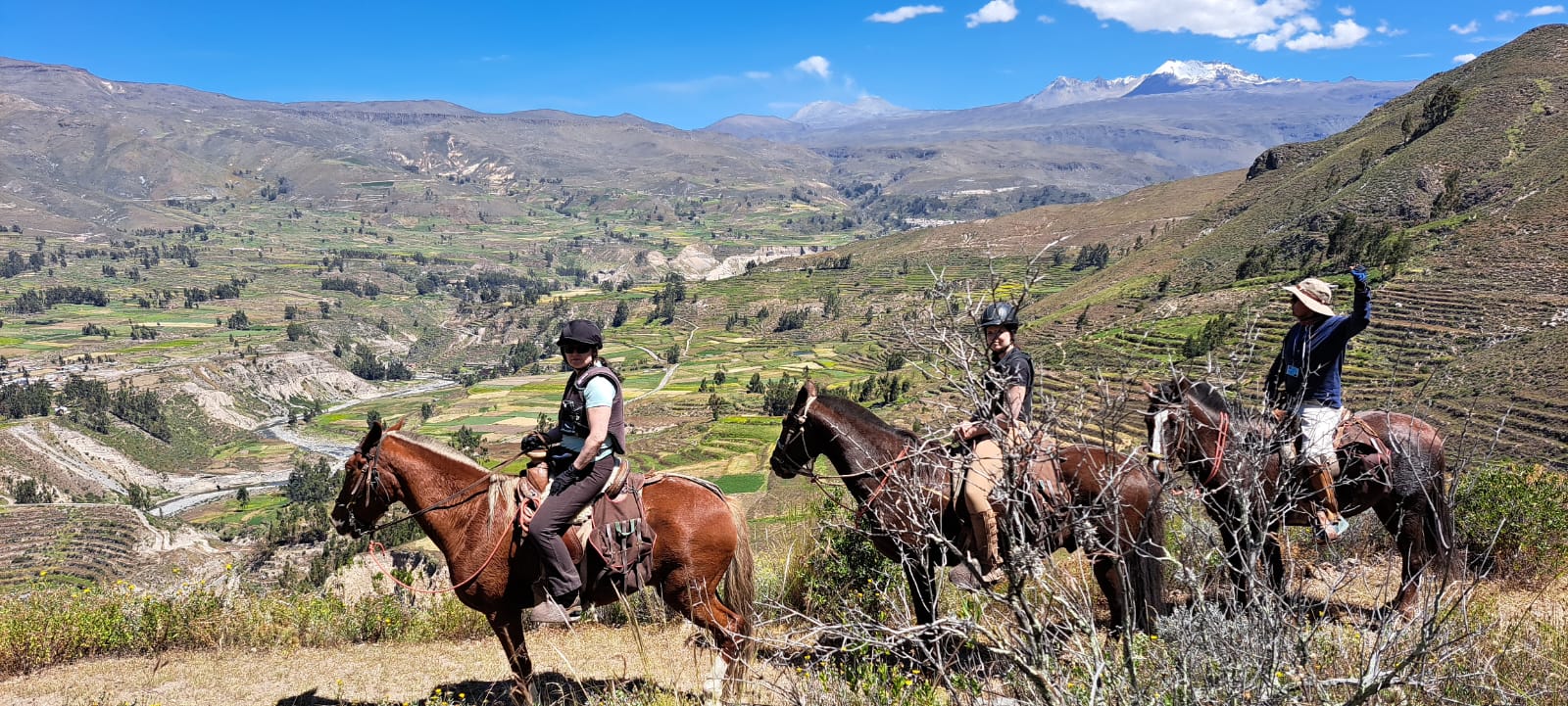 Image Pérou : La vallée et le canyon du Colca à cheval