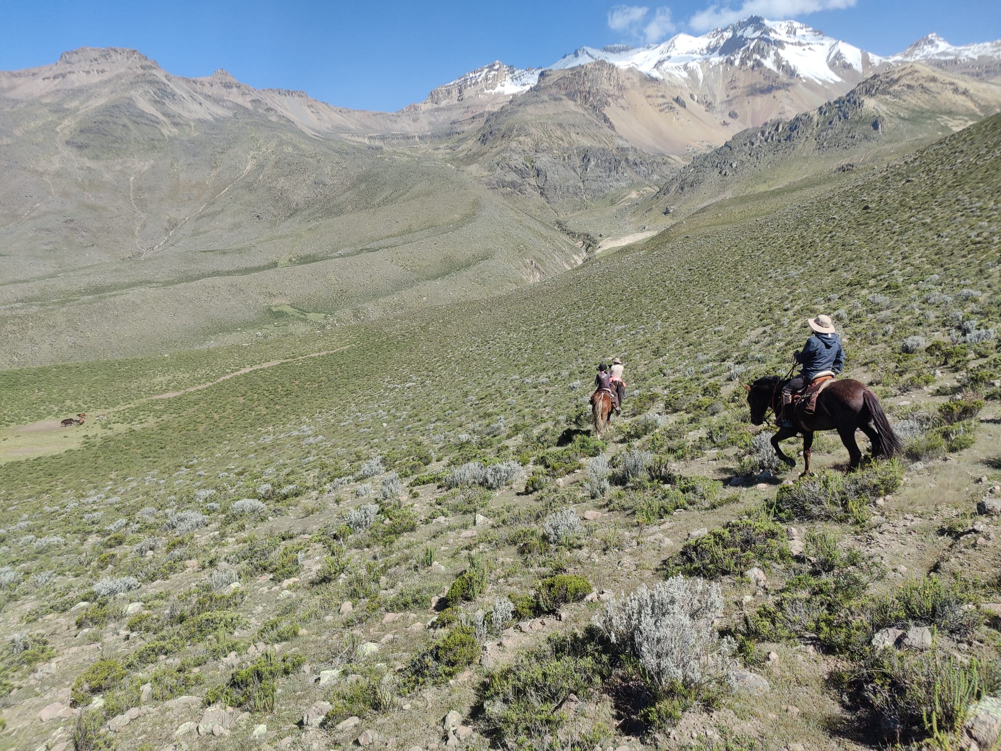 Image Pérou : La vallée et le canyon du Colca à cheval