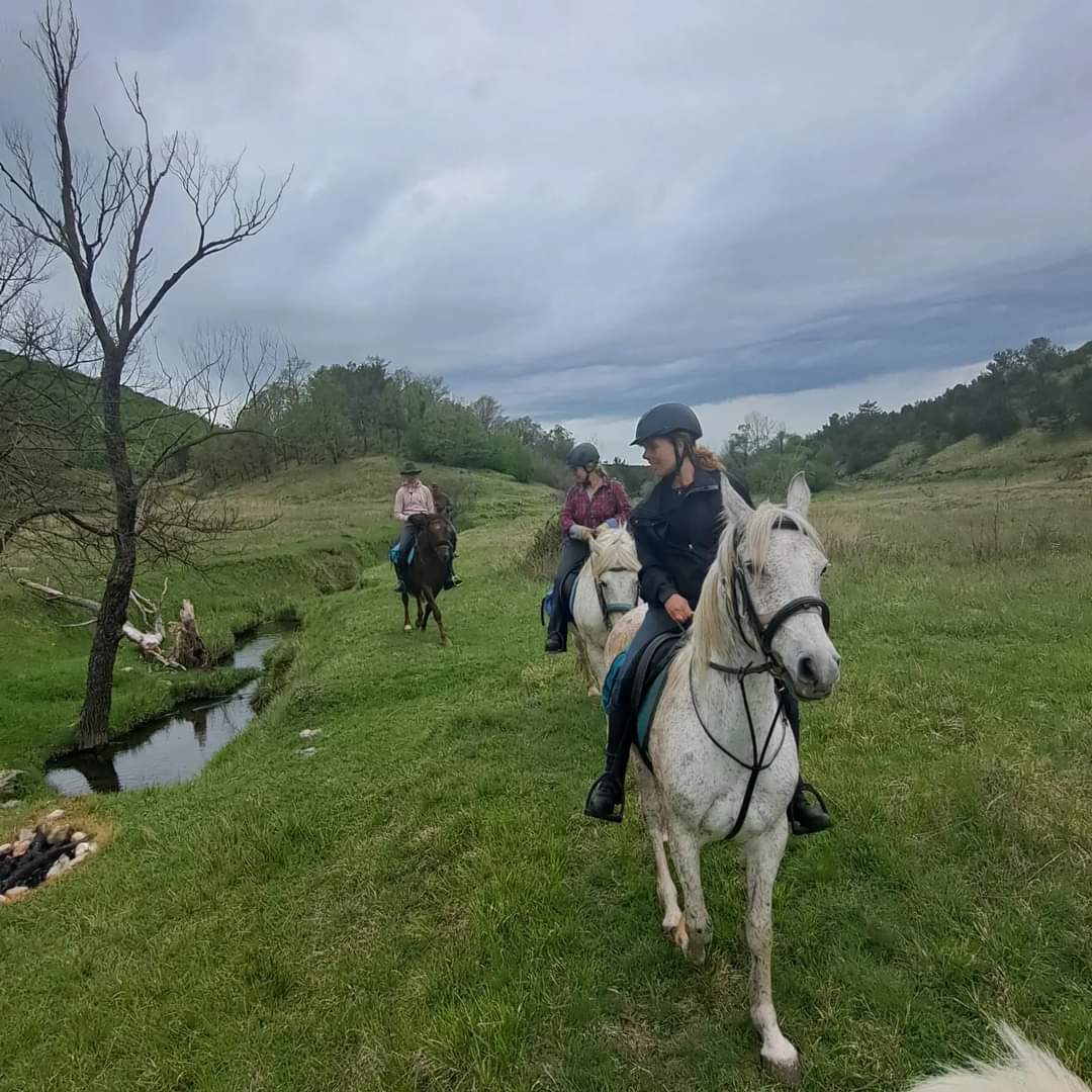 Image Croatie: Les collines de Dalmatie à cheval