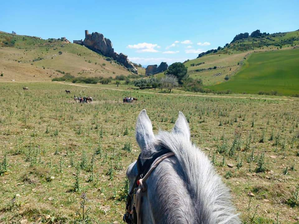 Image Sicile : Culture & Traditions de Sicile à cheval
