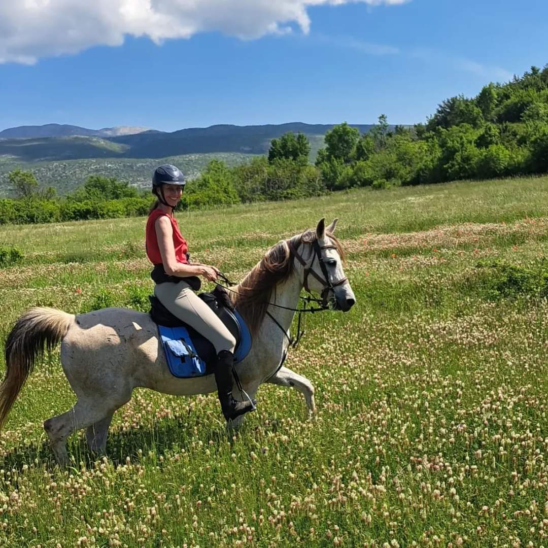 Image Croatie: Les collines de Dalmatie à cheval