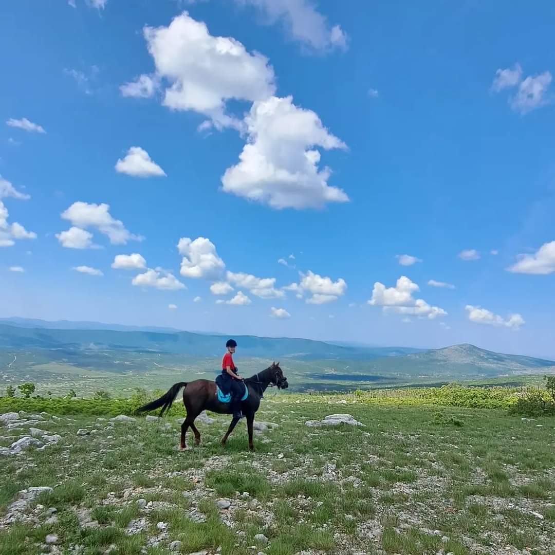 Image Croatie: Les collines de Dalmatie à cheval