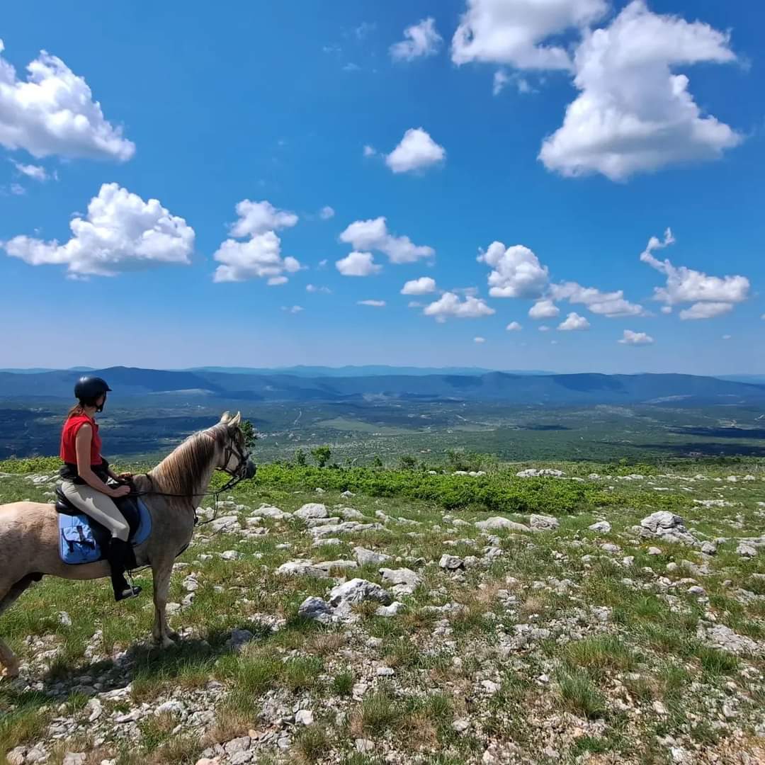 Image Croatie: Les collines de Dalmatie à cheval