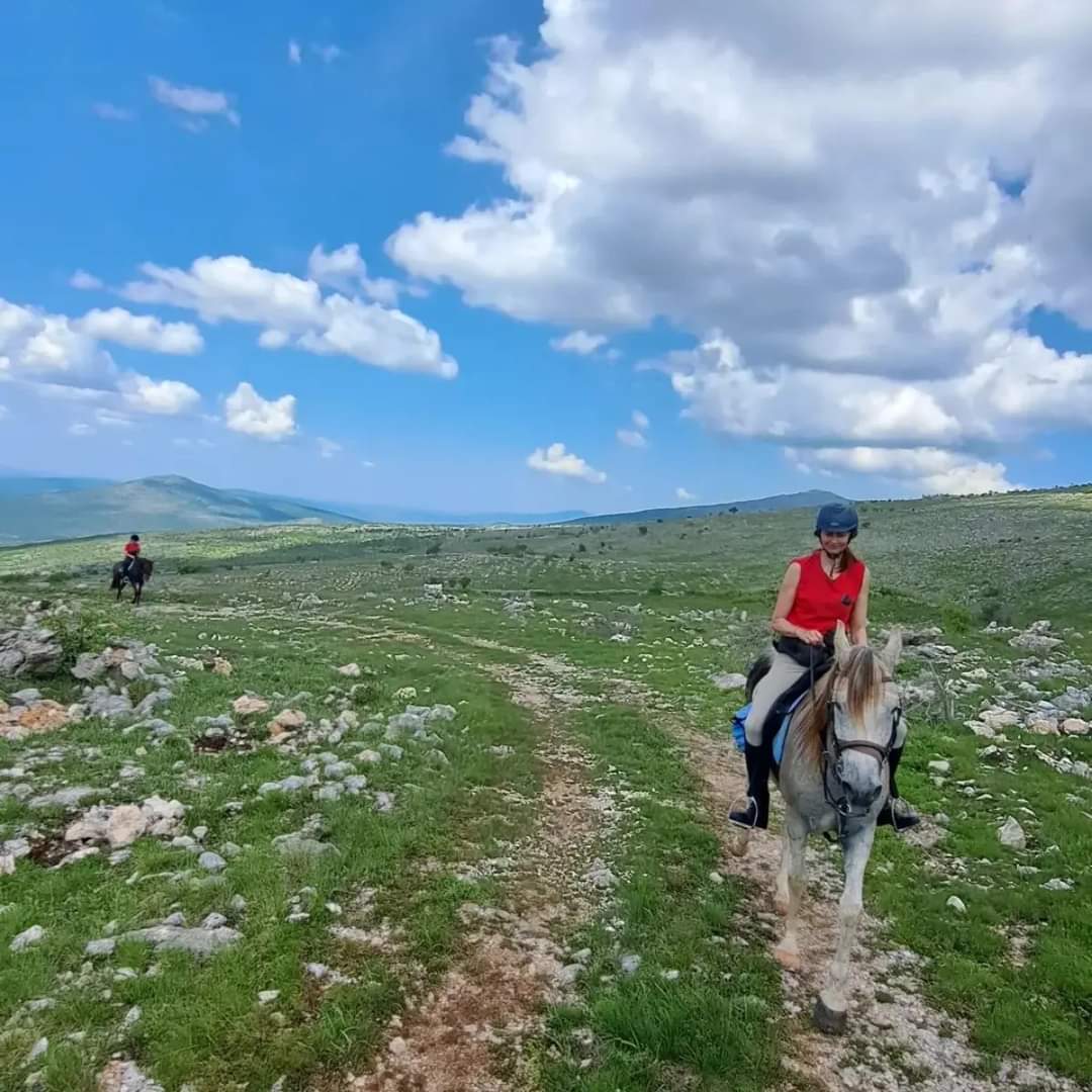 Image Croatie: Les collines de Dalmatie à cheval