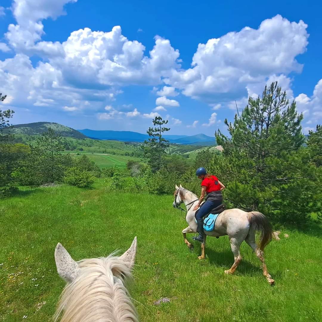 Image Croatie: Les collines de Dalmatie à cheval