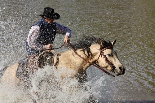 Image Usa : Séjour en ranch et travail du bétail à cheval dans le Wyoming