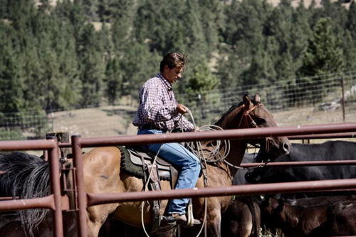 Image Usa : Séjour en ranch et travail du bétail à cheval dans le Wyoming