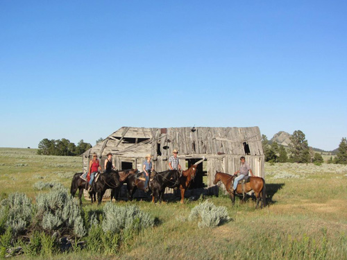 Image Usa : Séjour en ranch et travail du bétail à cheval dans le Wyoming