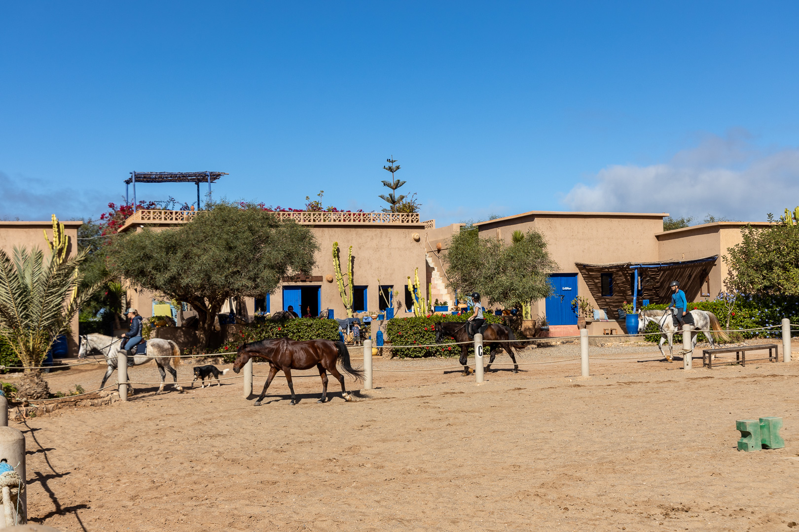 Image Randonnée à cheval sportive au Maroc