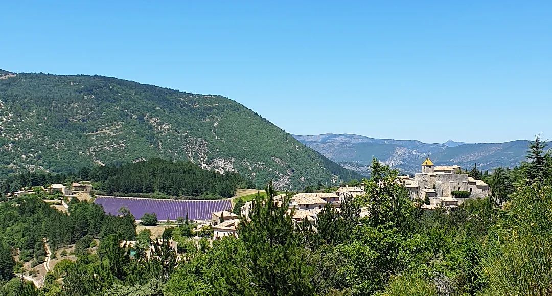 Voyage à cheval en PROVENCE