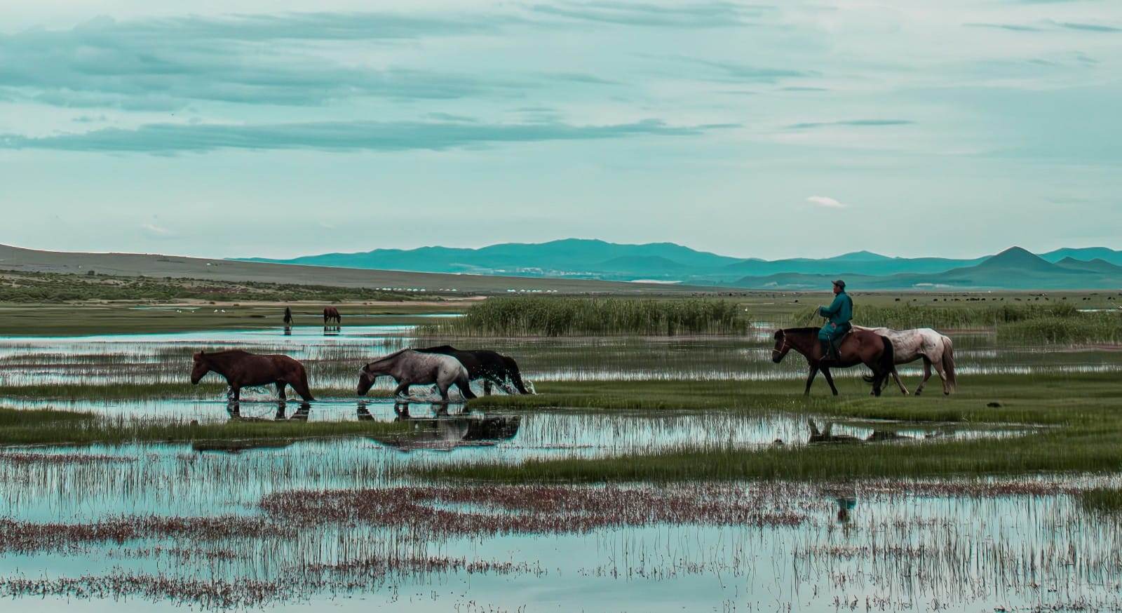Image Gobi et steppes de Mongolie à cheval