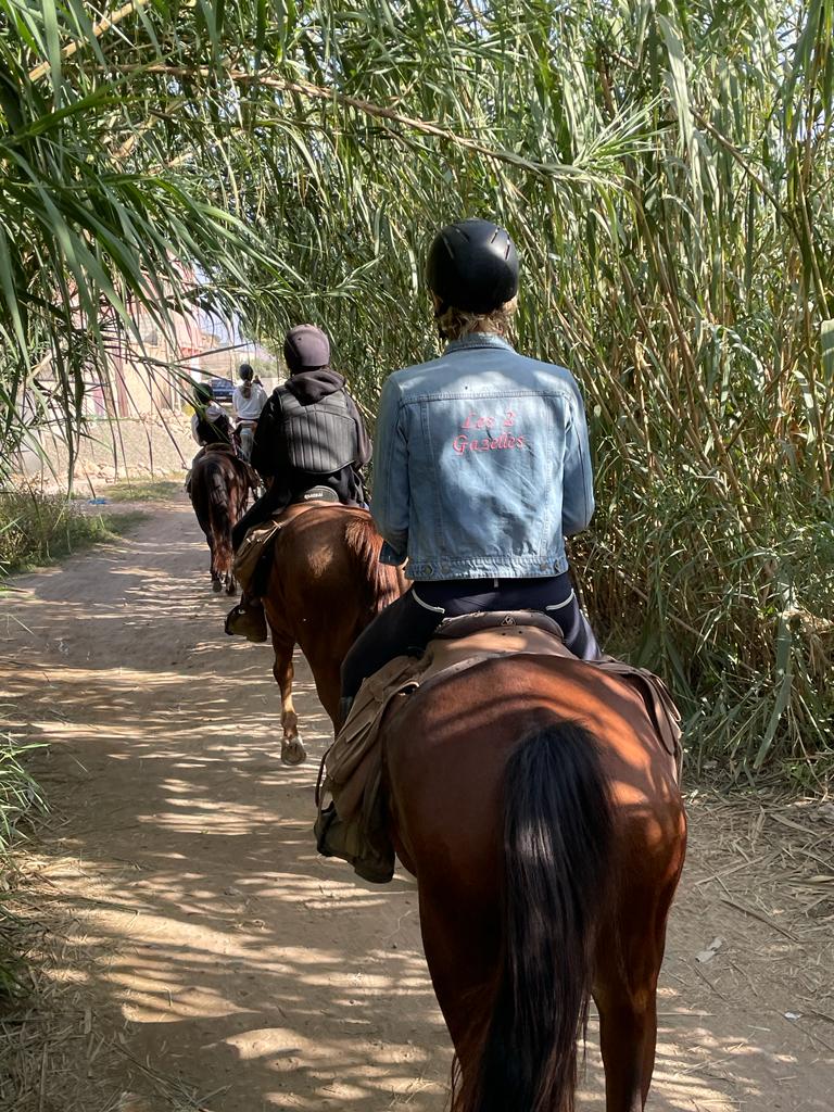 Image Randonnée à cheval sportive au Maroc