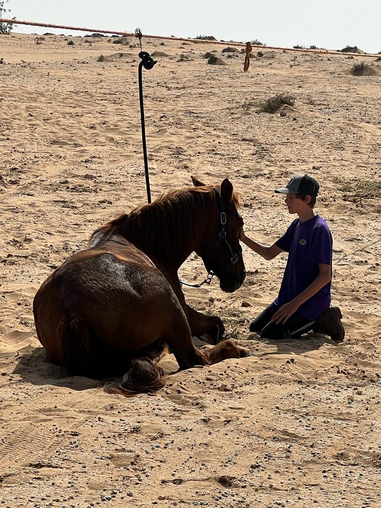 Image Randonnée à cheval sportive au Maroc