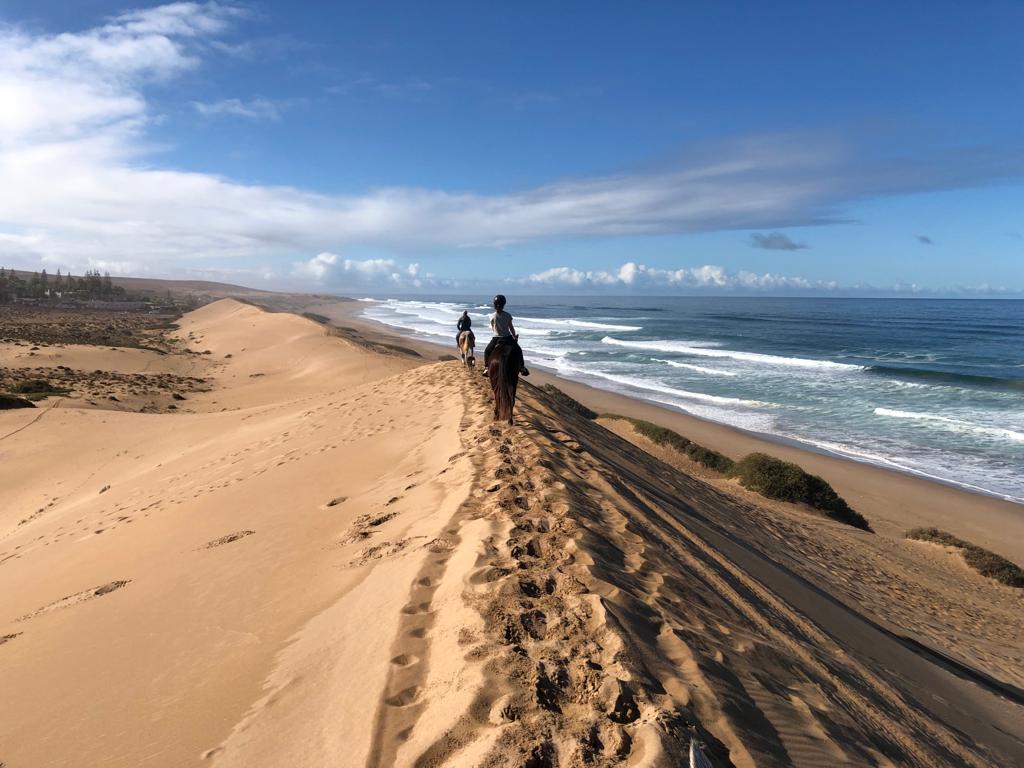 Image Randonnée à cheval sportive au Maroc