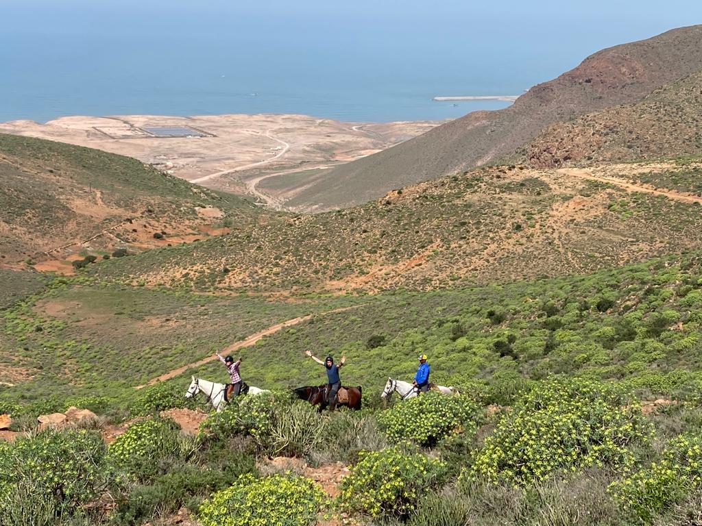 Image Randonnée à cheval sportive au Maroc