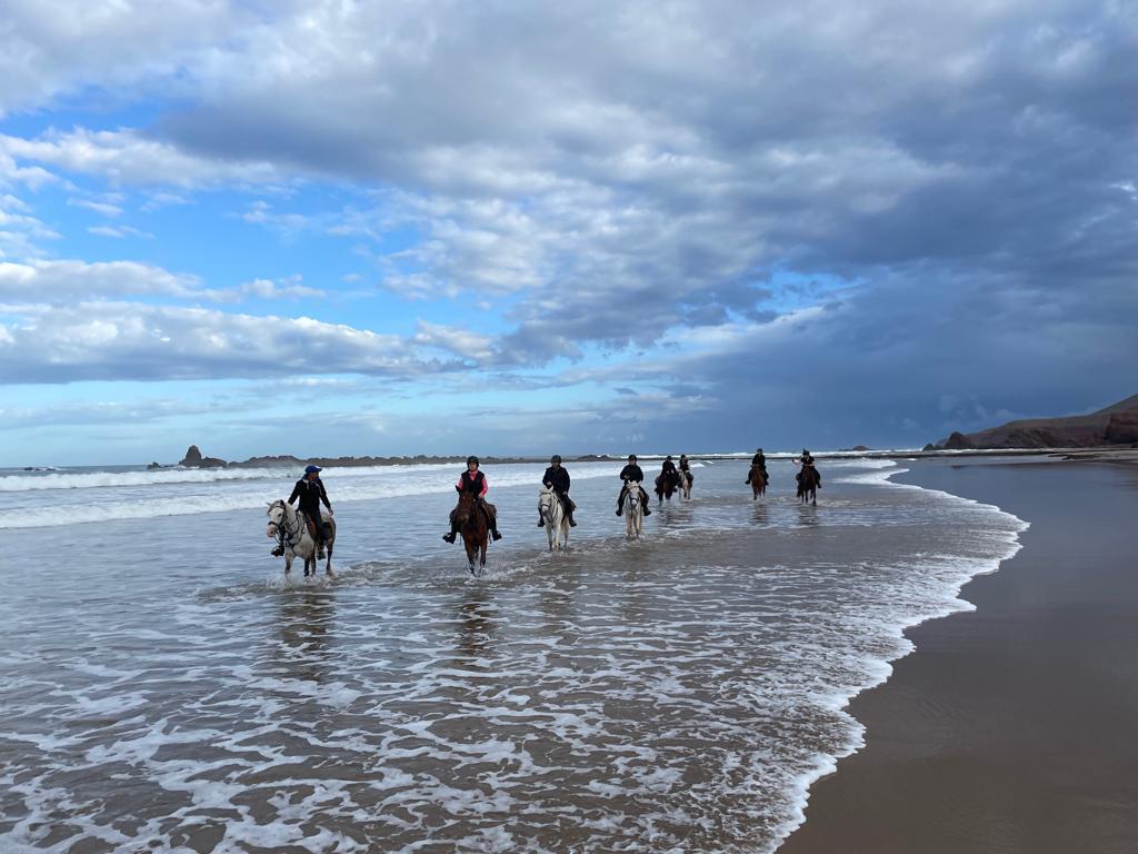 Image Randonnée à cheval sportive au Maroc