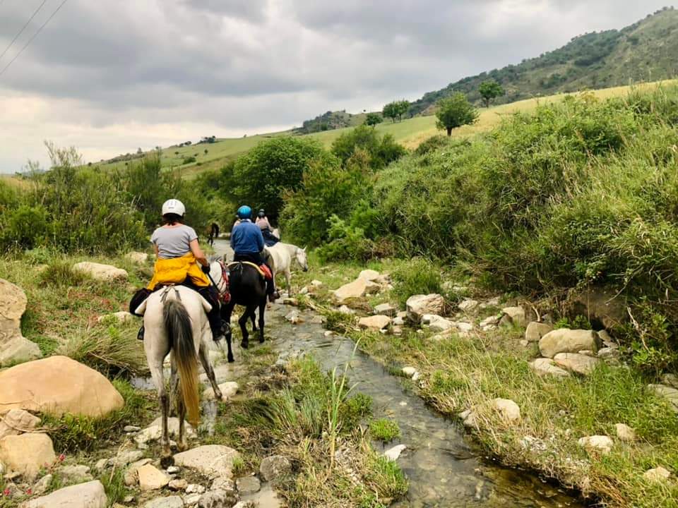 Image Sicile : Odyssée Sicilienne à cheval