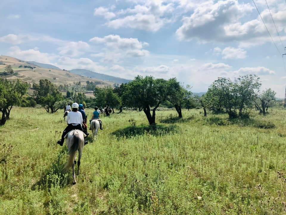 Image Sicile : Odyssée Sicilienne à cheval