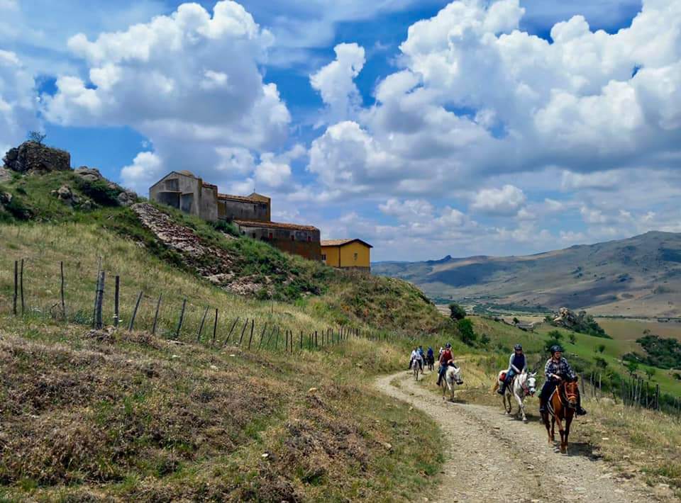 Image Sicile : Odyssée Sicilienne à cheval