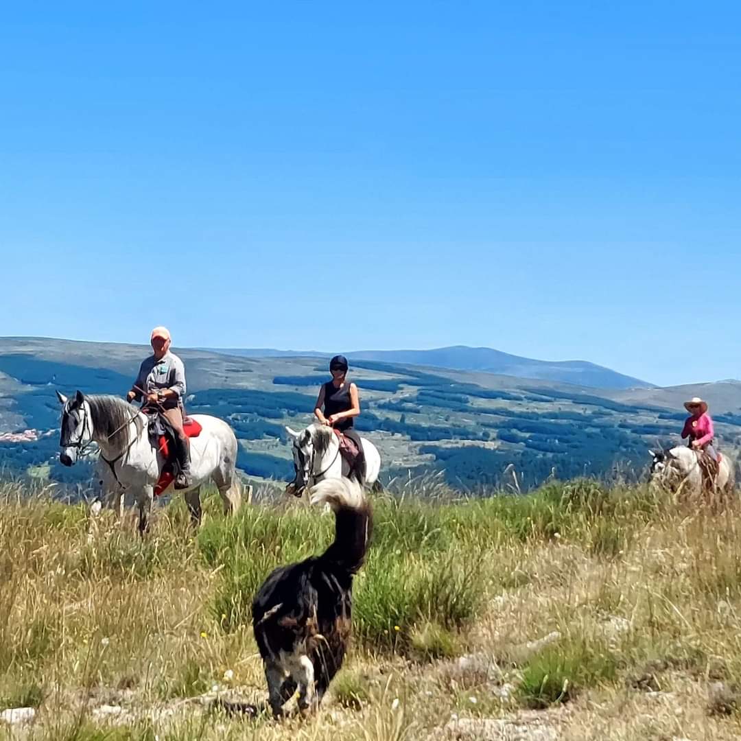 Image Espagne : La Sierra de Gredos à cheval et baignades dans les eaux cristallines