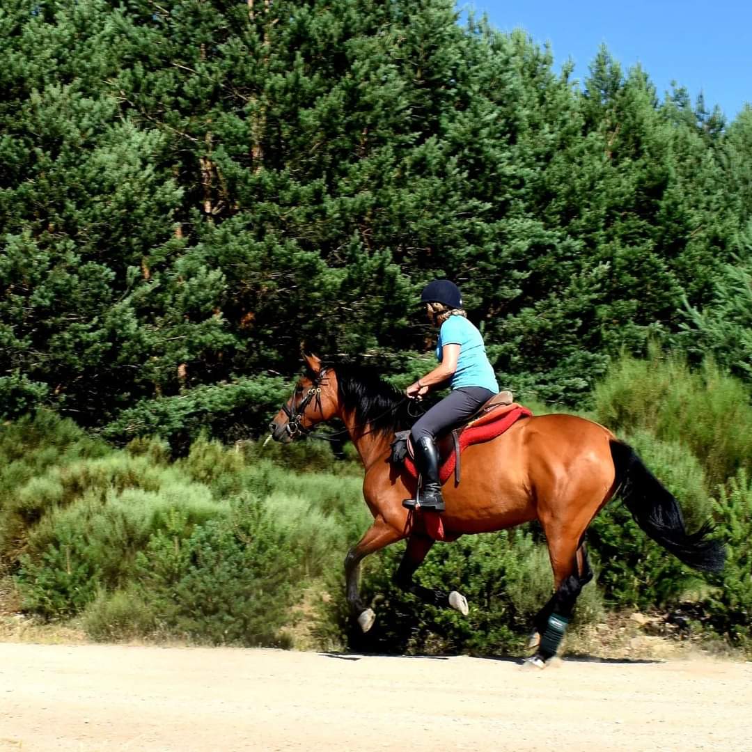 Image Espagne : La Sierra de Gredos à cheval et baignades dans les eaux cristallines