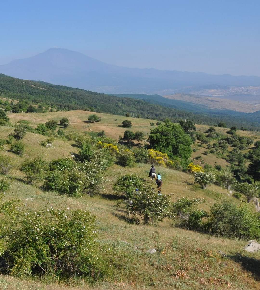 Image Sicile : La Sicile des Madonies à l'Etna en rando à cheval