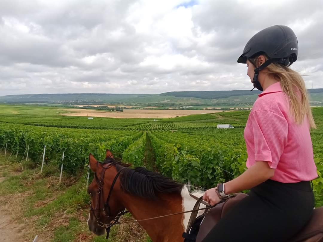 Image Chevauchée pétillante dans les vignobles de Champagne