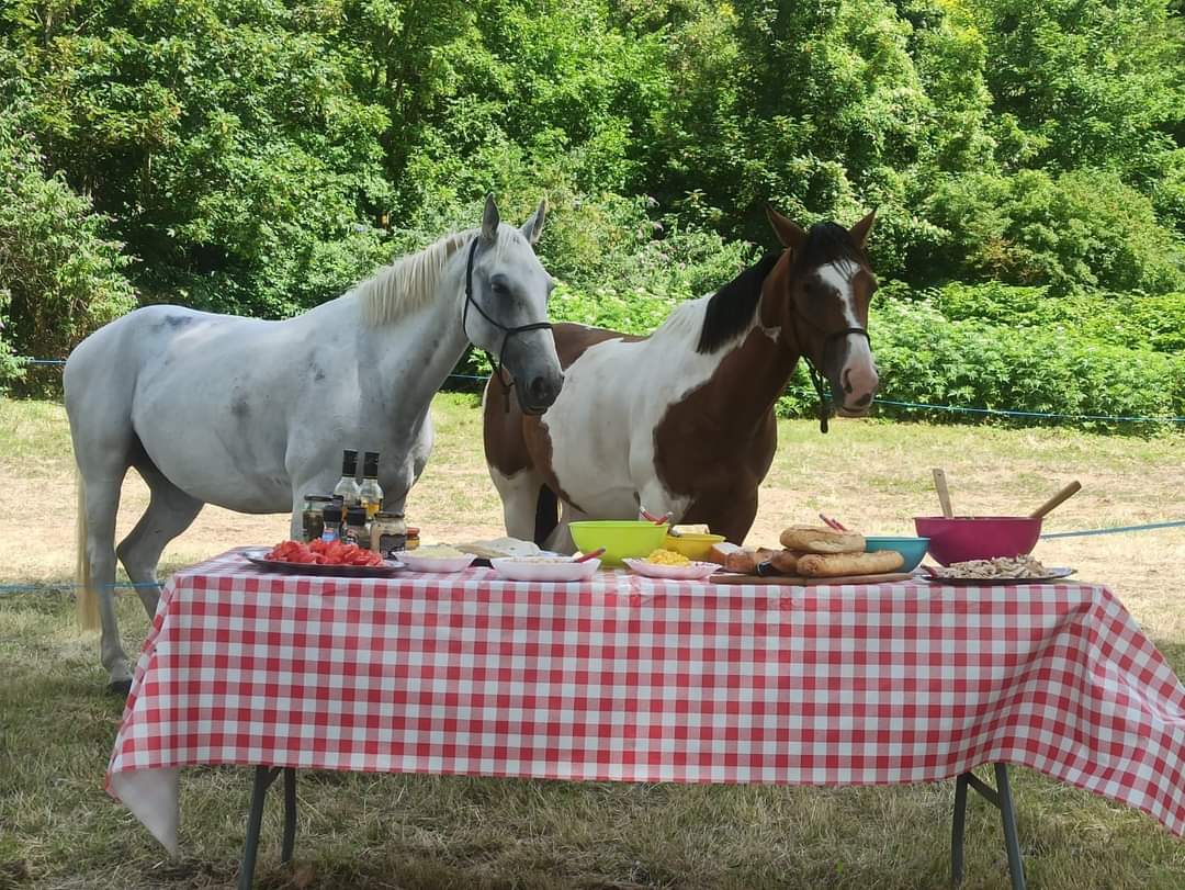 Image Chevauchée pétillante dans les vignobles de Champagne