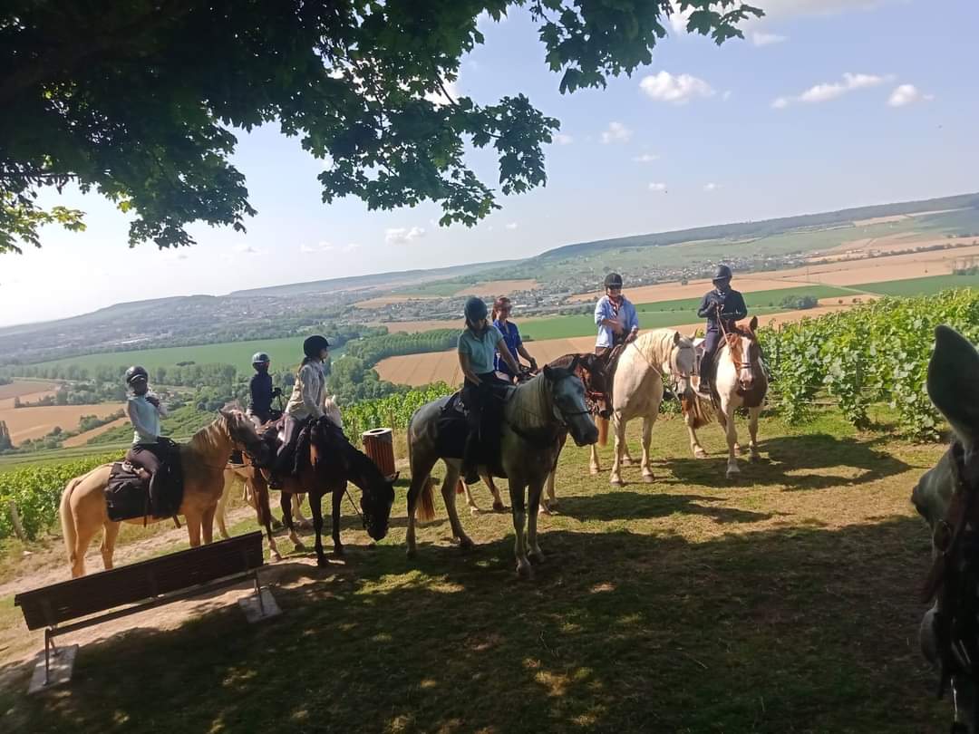 Image Chevauchée pétillante dans les vignobles de Champagne