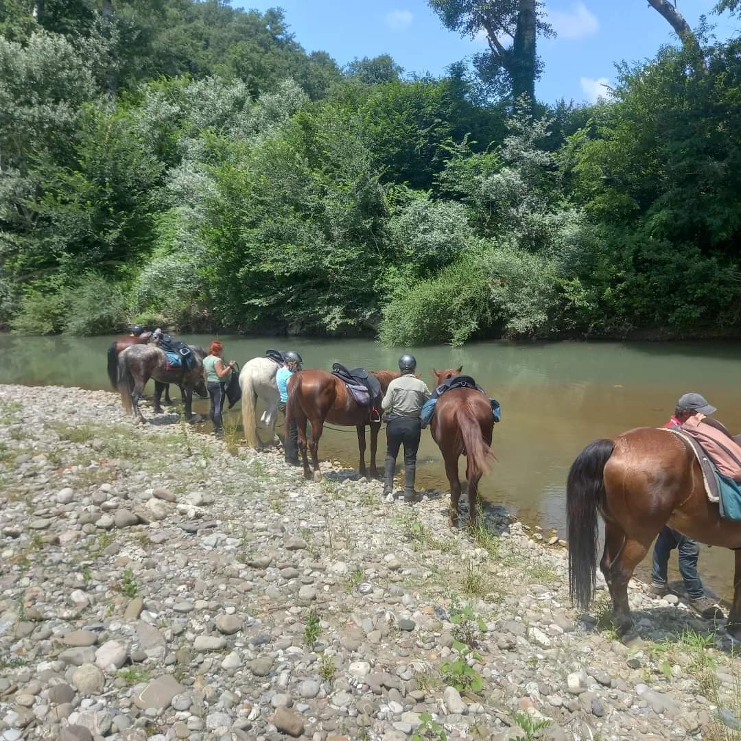 Image Les crêtes siennoises de Toscane à cheval