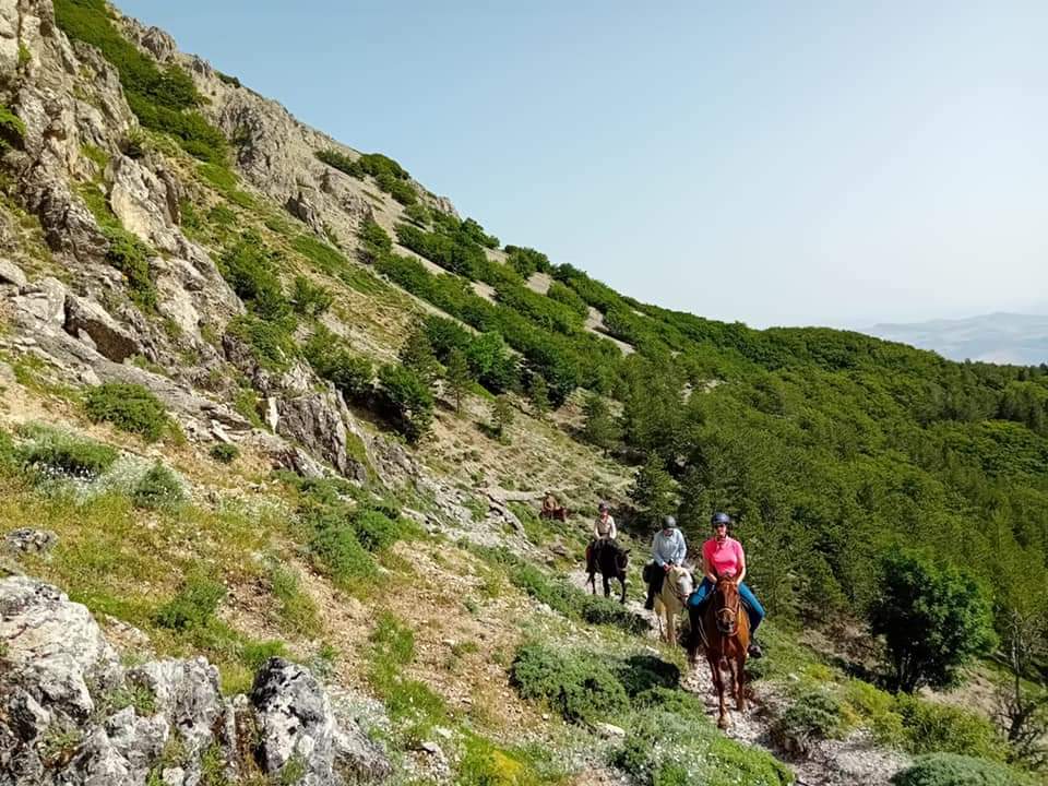 Image Sicile : Le Parc naturel des Madonies à cheval en étoile et en itinérance