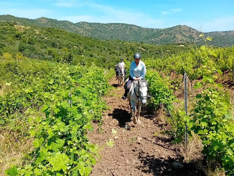 Image Sicile : Le Parc naturel des Madonies à cheval en étoile et en itinérance