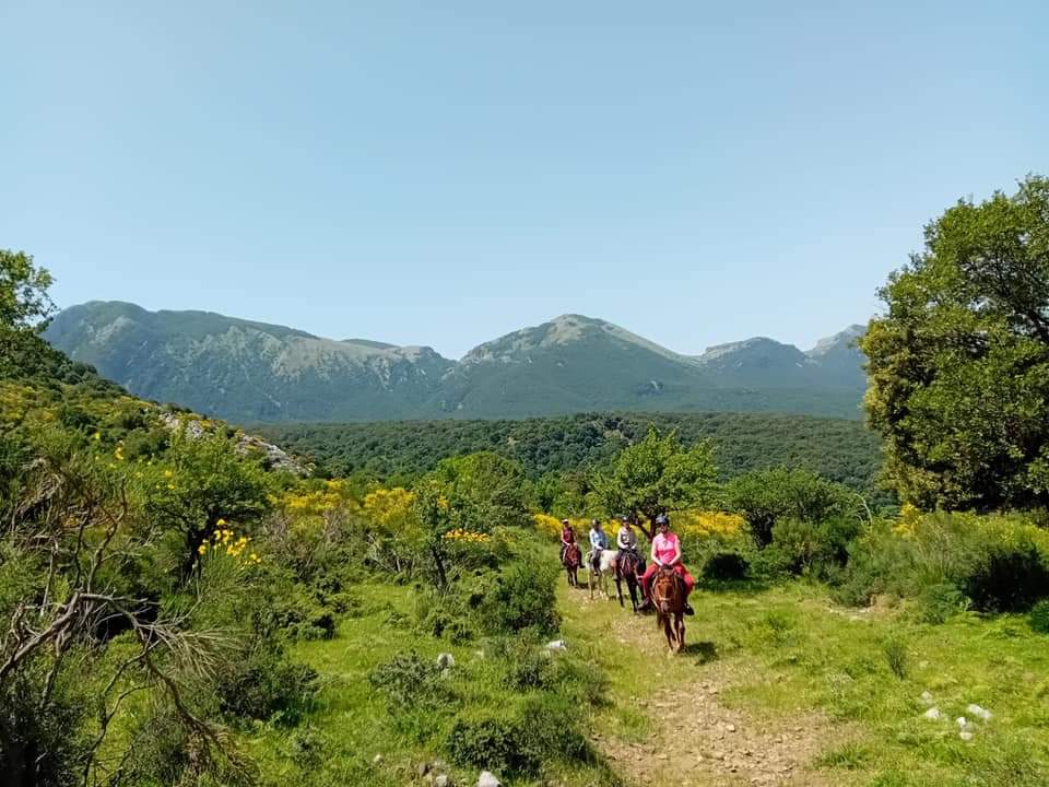 Image Sicile : Le Parc naturel des Madonies à cheval en étoile et en itinérance