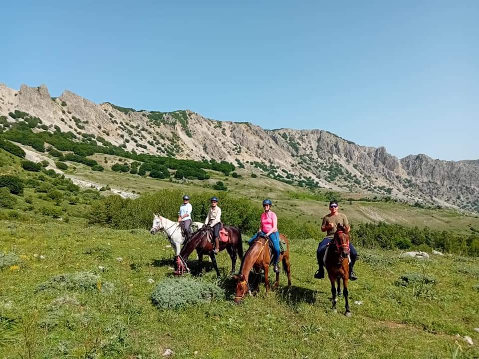 Image Sicile : Le Parc naturel des Madonies à cheval en étoile et en itinérance