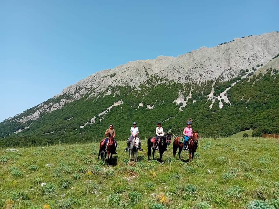 Image Sicile : Le Parc naturel des Madonies à cheval en étoile et en itinérance