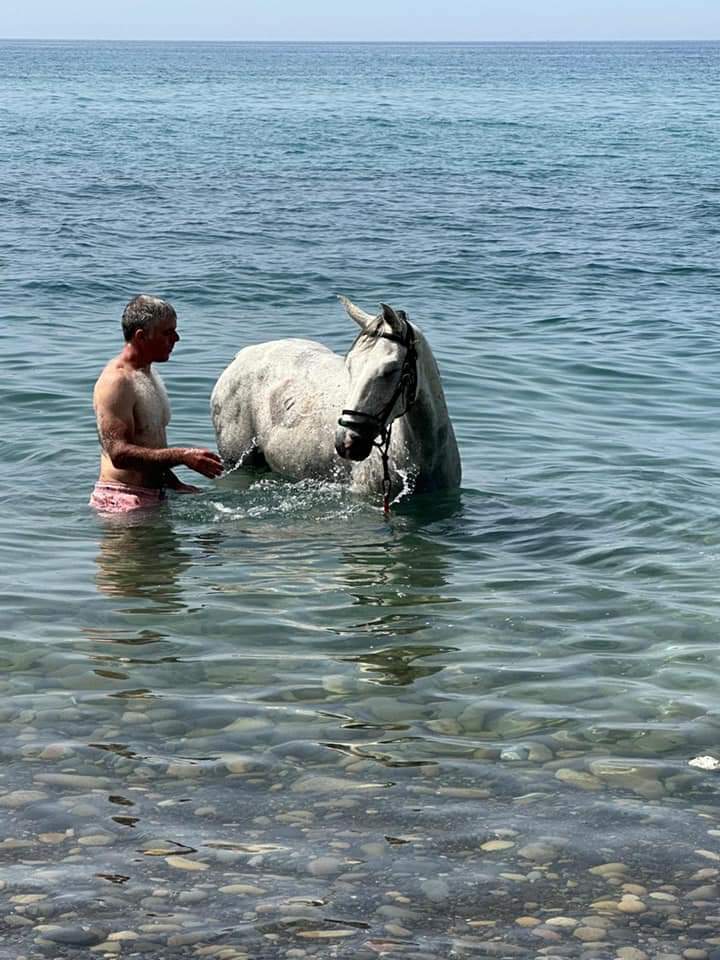 Image Sicile : Le Parc naturel des Madonies à cheval en étoile et en itinérance
